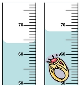 Displacement Volume 